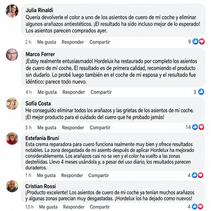 Hordelux – Restauración del cuero del coche