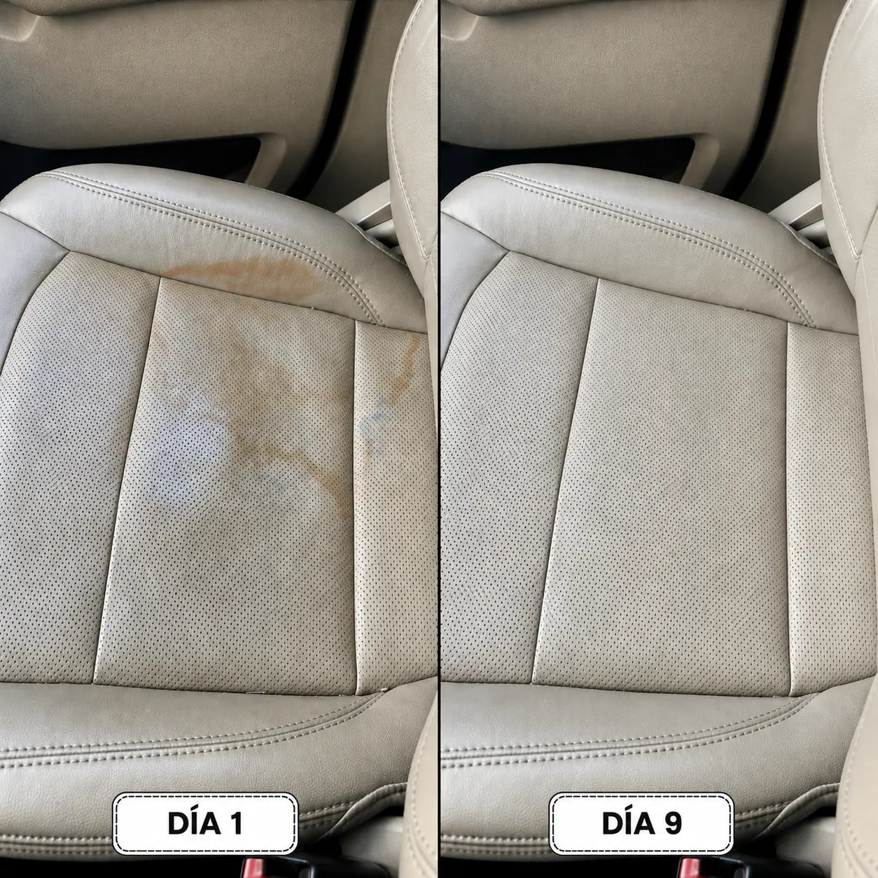 Hordelux – Restauración del cuero del coche