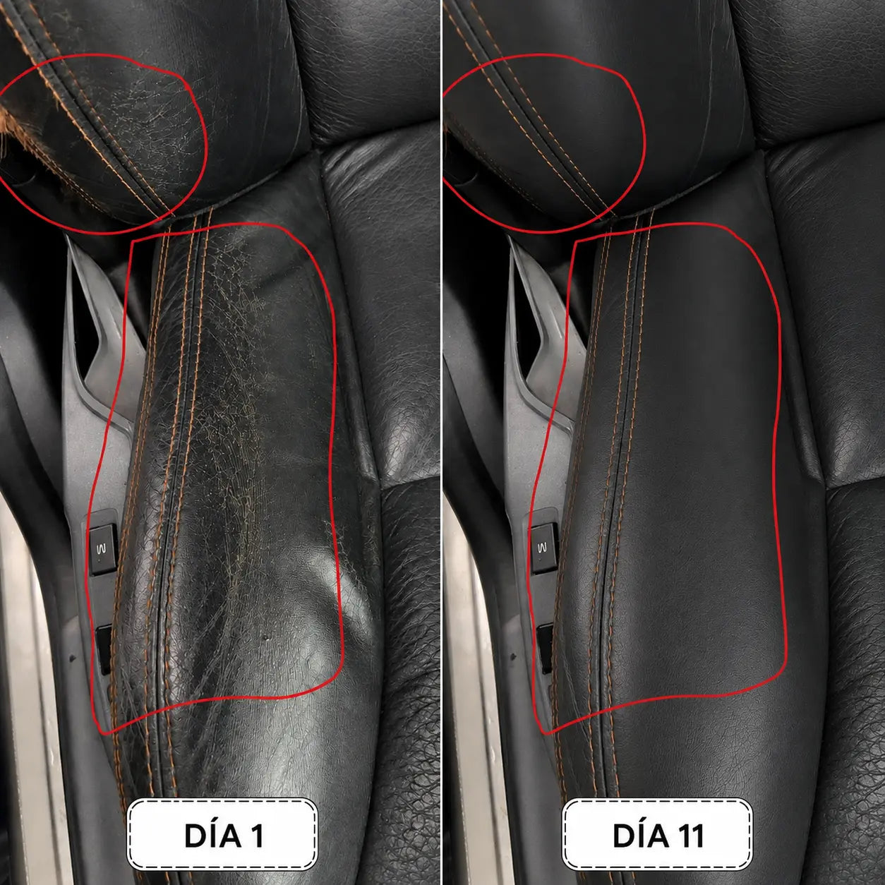 Hordelux – Restauración del cuero del coche