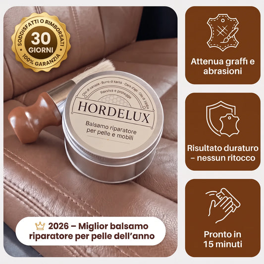 Hordelux – Restauración Piel Coche